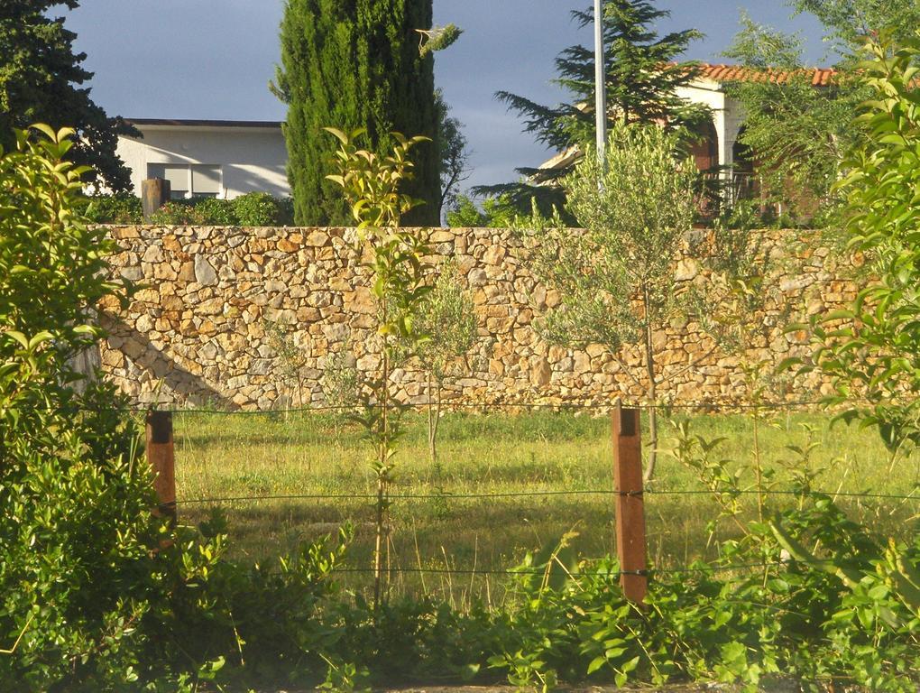 Kleine Hexe B&B Pension Pirovac Room photo